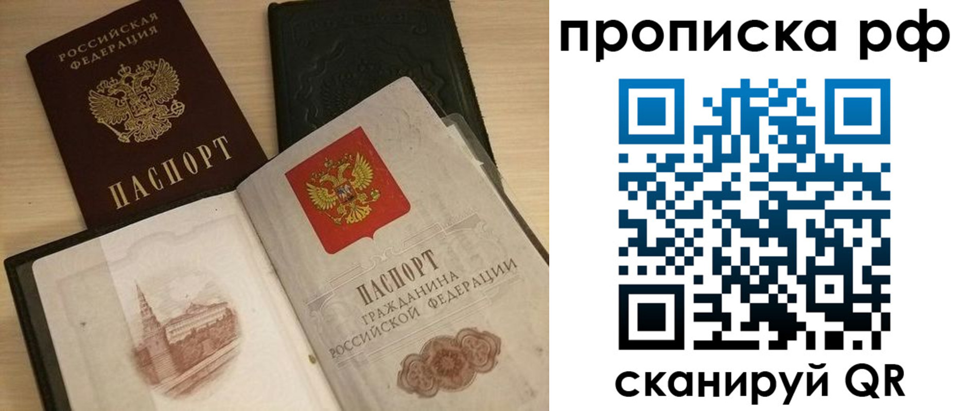 где прописаться в Электрогорске